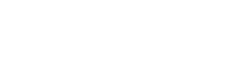 ECO CORK INFILL logo